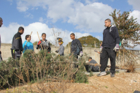 بالفيديو: لجنة اكرام الميت تُنظم حملتها الشهرية لتنظيف مقبرة طاسو في مدينة يافا 